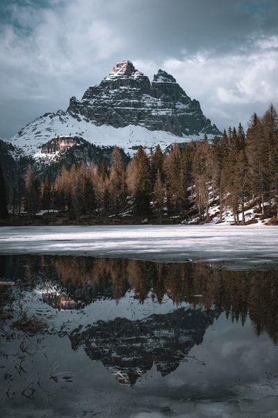 白昼雪山附近绿树成荫